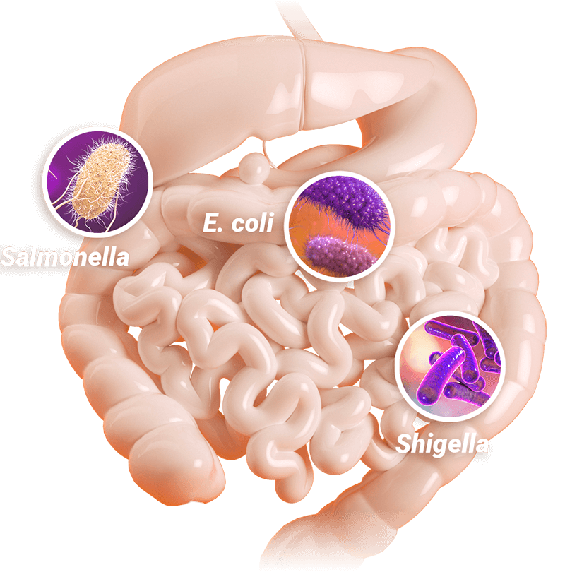 antiséptico intestinal